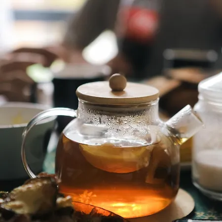 Guest house Pelahia Slavske