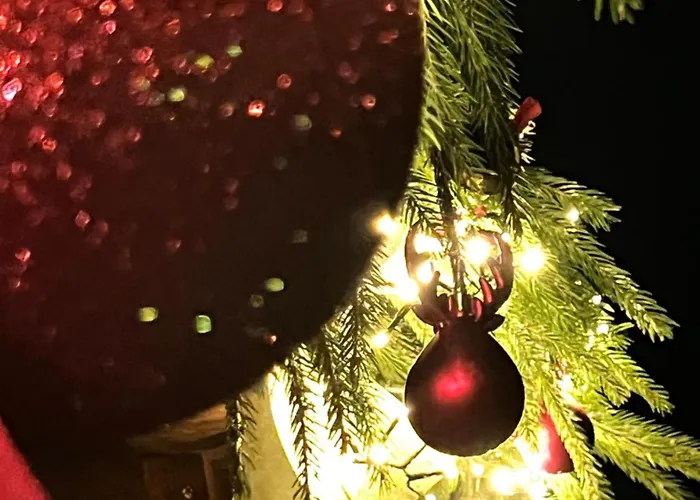 Pensión Pelahia Slavske